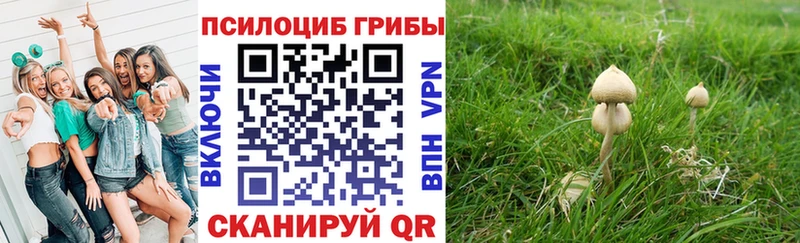 Псилоцибиновые грибы ЛСД  Купить  Няндома 